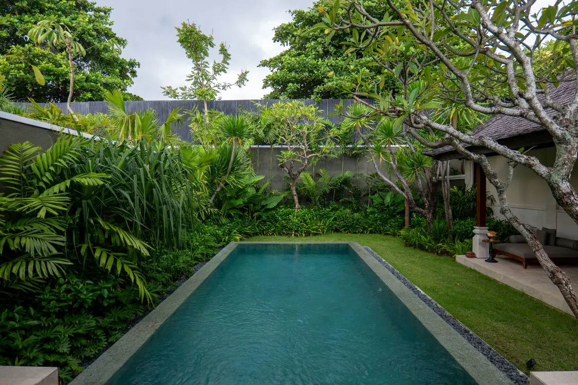 Garden inspiration with a swimming pool framed by tropical greenery
